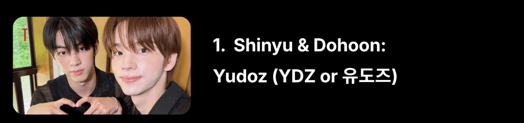 “Yu” from Shinyu, “Do” from Dohoon. They're also known as Pat & Mat, a reference to the animated series (check out this sketch).