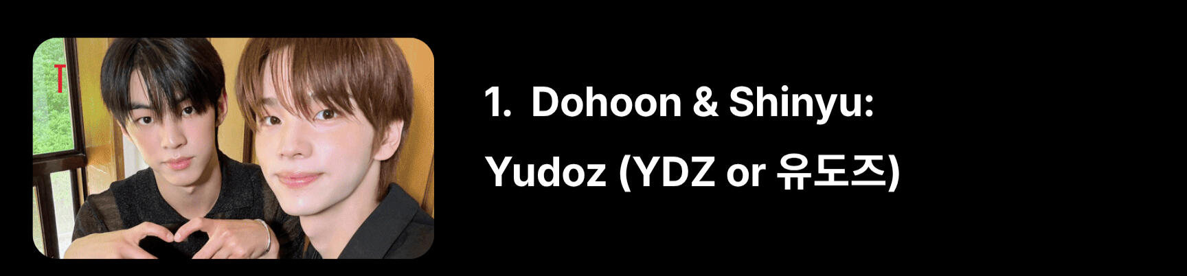 “Yu” from Shinyu, “Do” from Dohoon. They're also known as Pat & Mat, a reference to the animated series (check out this sketch).